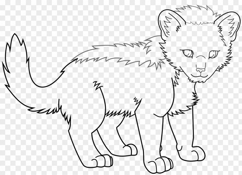 Lion Tiger Whiskers Line Art Drawing PNG