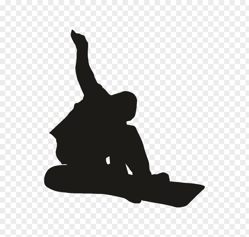 Snowboard Sticker Snowboarding Sports Tennis Player Skateboarding PNG