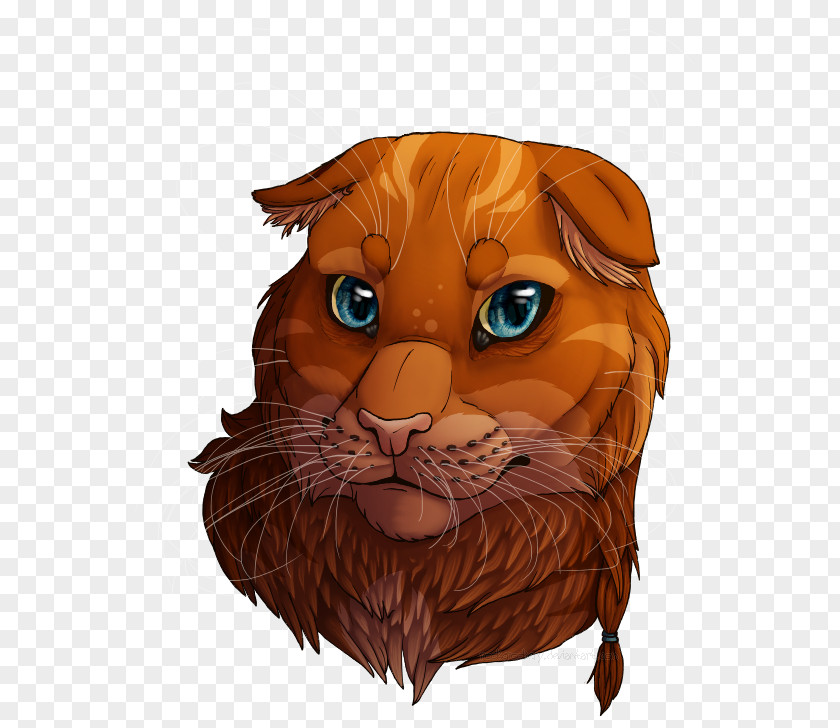Tiger Whiskers Cat Art Lion PNG
