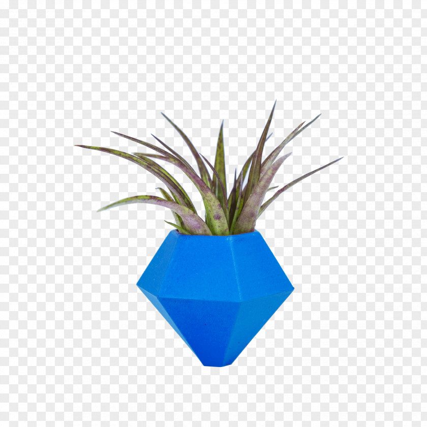 Bok Choy Majorelle Blue Garden Flowerpot Leaf Plastic PNG