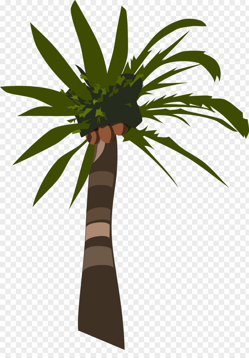 Coconut Tree Clip Art PNG