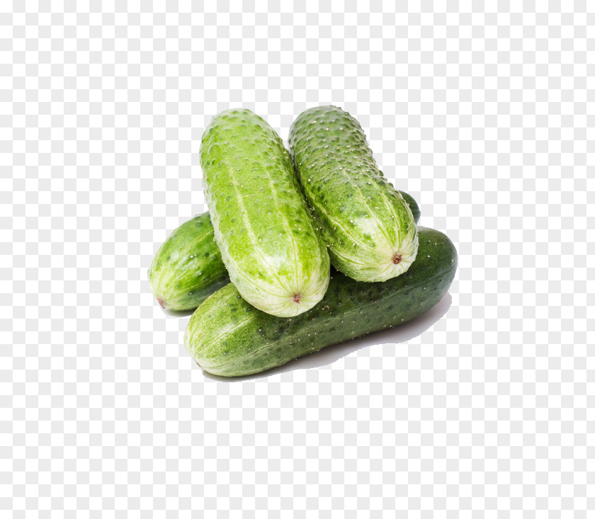 Cucumber Organic Food Vegetable Carrot Tomato PNG