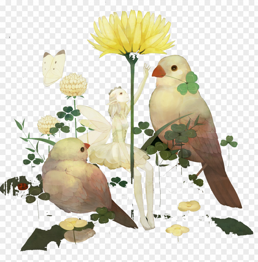 Fairy And Bird Illustration PNG