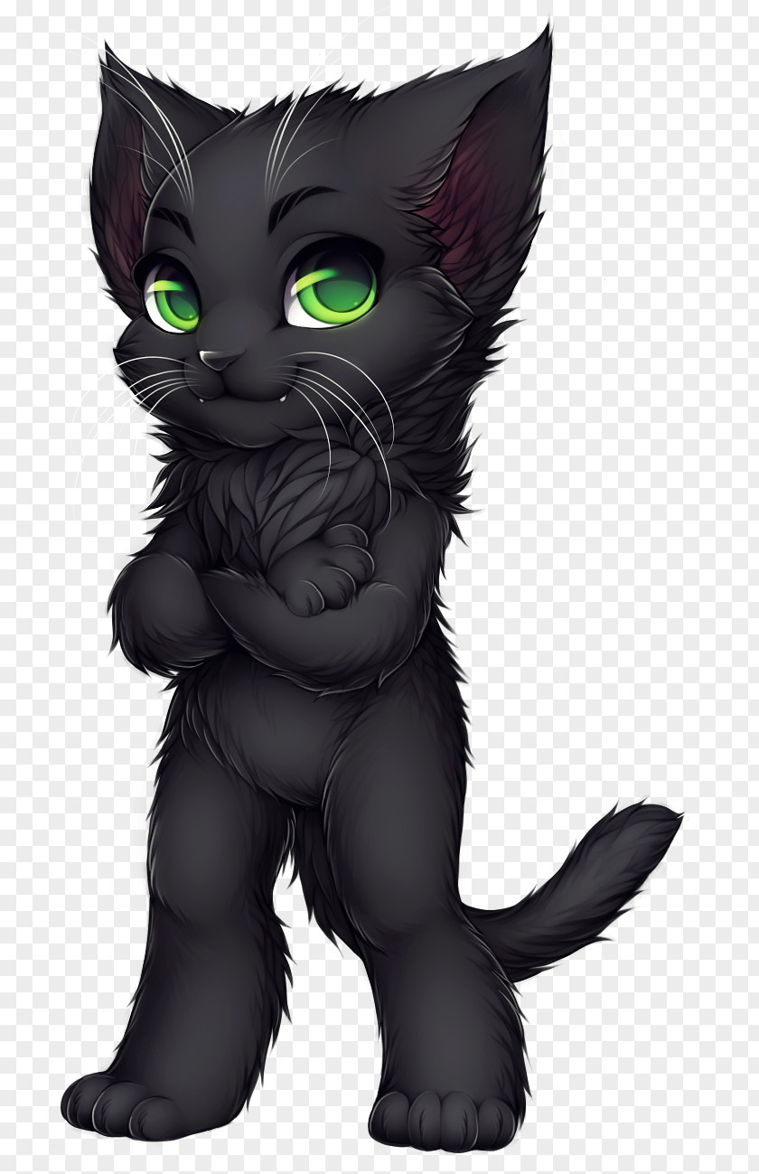 Kitten Black Cat Korat Scottish Fold Domestic Short-haired PNG