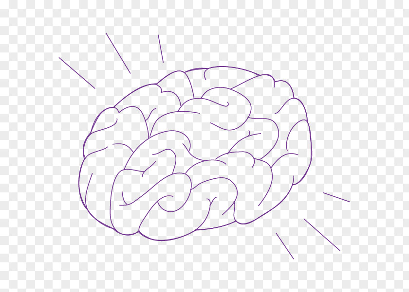 Mahimahi Clip Art /m/02csf Drawing Brain Cartoon PNG