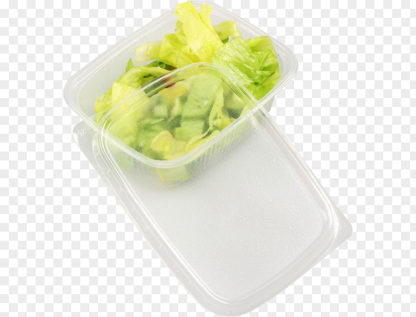 Plastic Containers Vegetarian Cuisine Tableware Leaf Vegetable Recipe Cup PNG