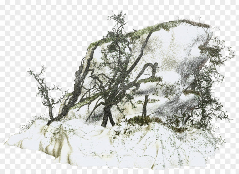 Snow Branch Winter Clip Art PNG