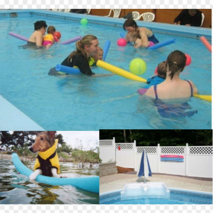 Swimming Pool Leisure Centre Water Park PNG