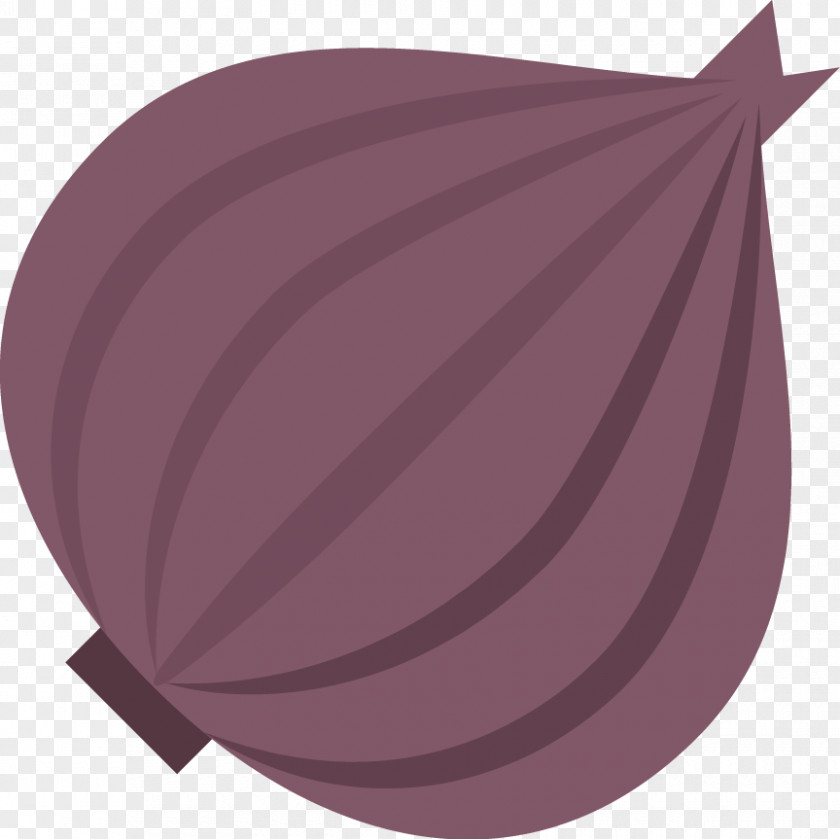 Vector Onions Onion Google Images Download PNG