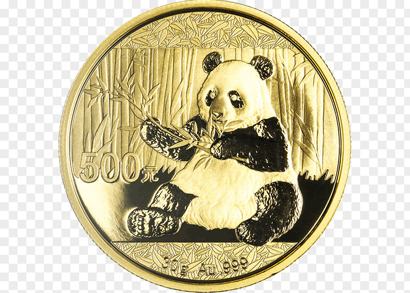 Coin Gold Chinese Panda Giant PNG