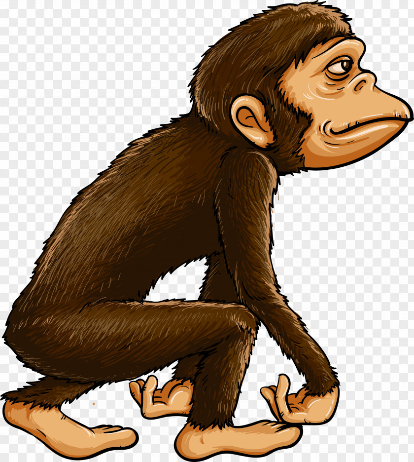 Evolution Chimpanzee Ape Primate Monkey PNG