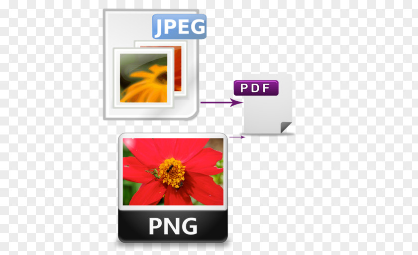 Image File Formats PNG