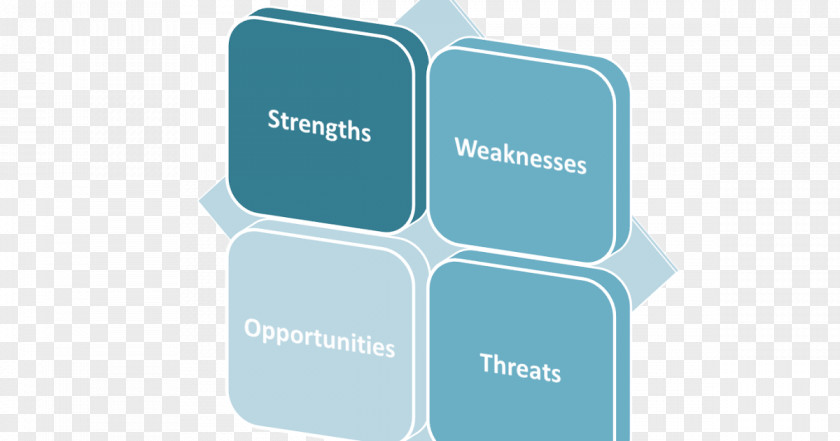 Project Management Body Of Knowledge SWOT Analysis Strategic Planning PNG