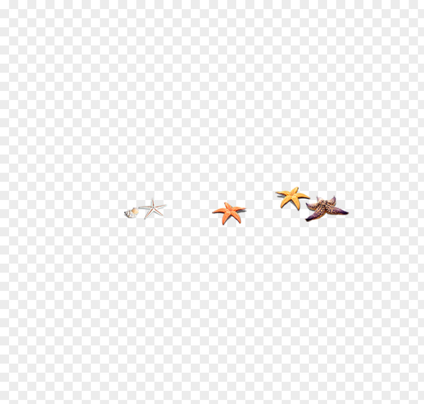 Starfish Area Pattern PNG