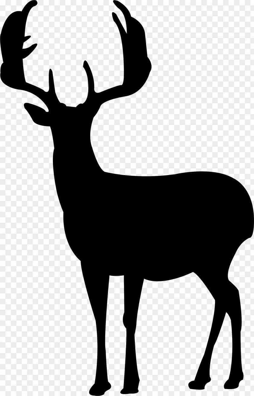 Deer Silhouette Canvas Print PNG