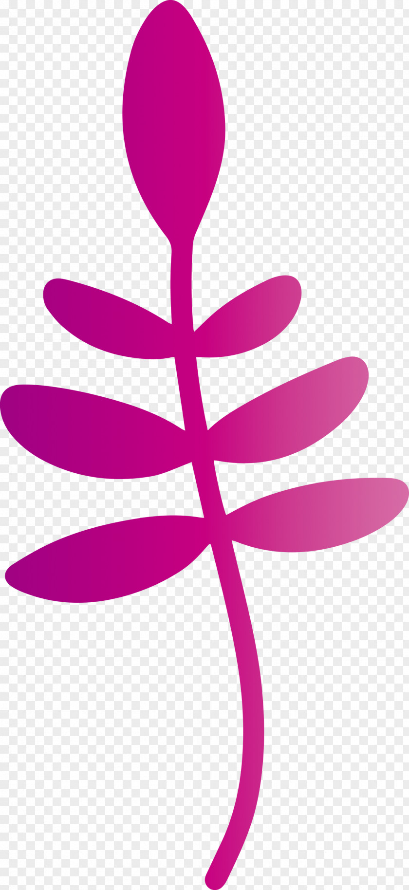 Flower Petal Line Meter Symbol PNG