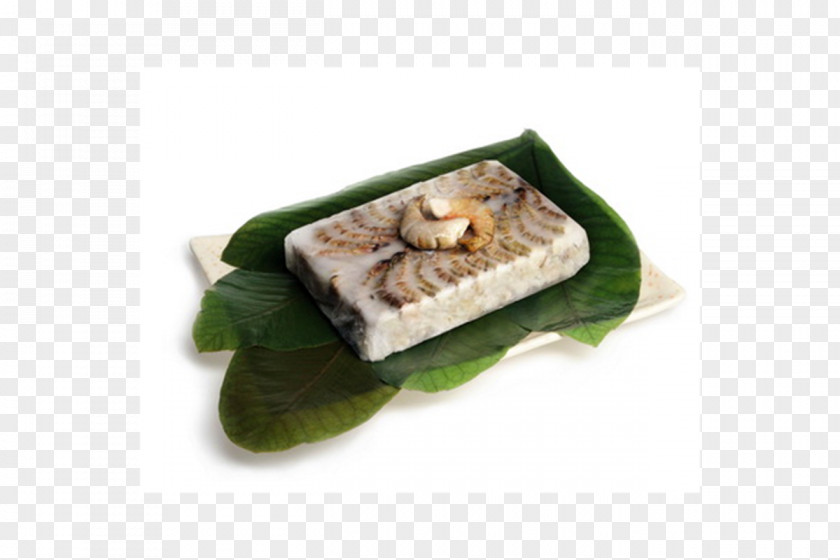 Shrimp Caridea Seafood PNG