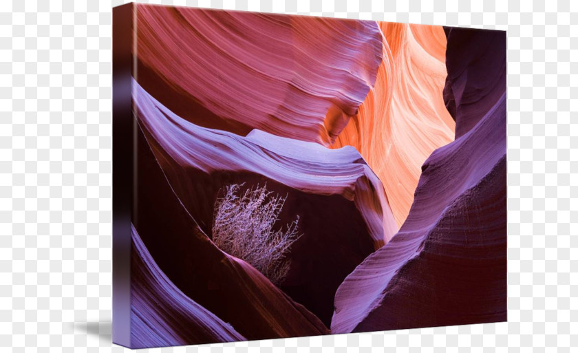 Tumble Weed Antelope Canyon Gallery Wrap Desktop Wallpaper Canvas Art PNG