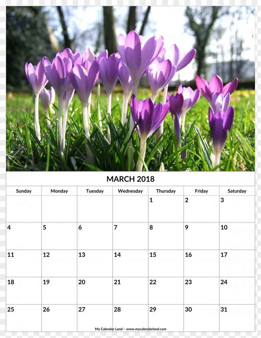 2018 Monthly Calendar Spring 0 1 Gardening PNG