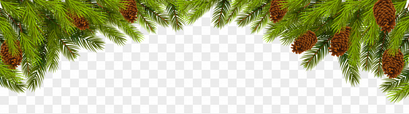 Christmas Pine Branch Decoration Clip Art Image Ornament Tree PNG