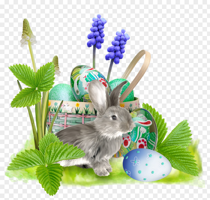 Easter Bunny Domestic Rabbit Clip Art PNG