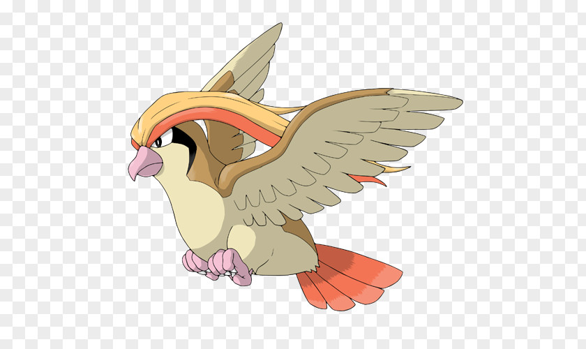 Pokemon Pidgeotto Pokémon Omega Ruby And Alpha Sapphire Drawing PNG