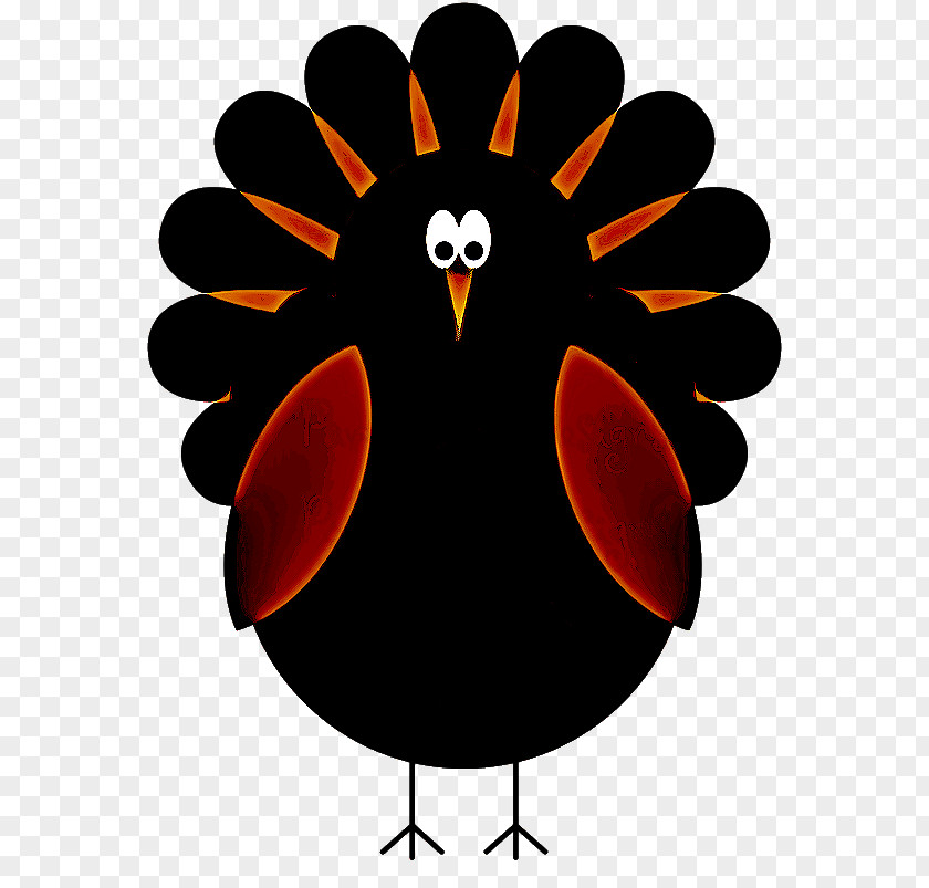 Beak Rooster Clip Art Chicken Bird PNG