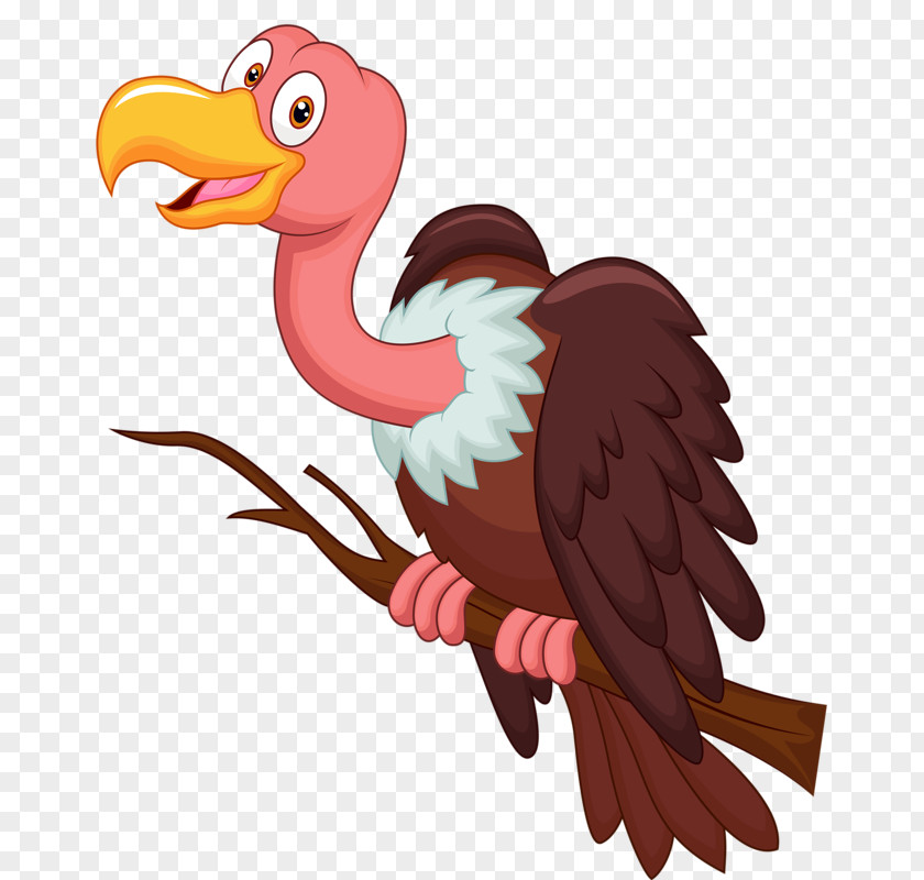 Bird Cartoon Vulture Clip Art PNG