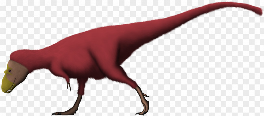 Lythronax Late Cretaceous Campanian Dinosaur Feather PNG