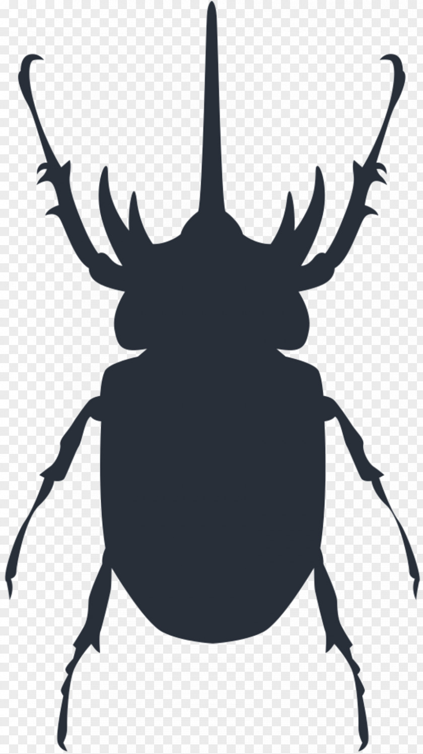 M Character Fiction Clip Art Insect Black & White PNG