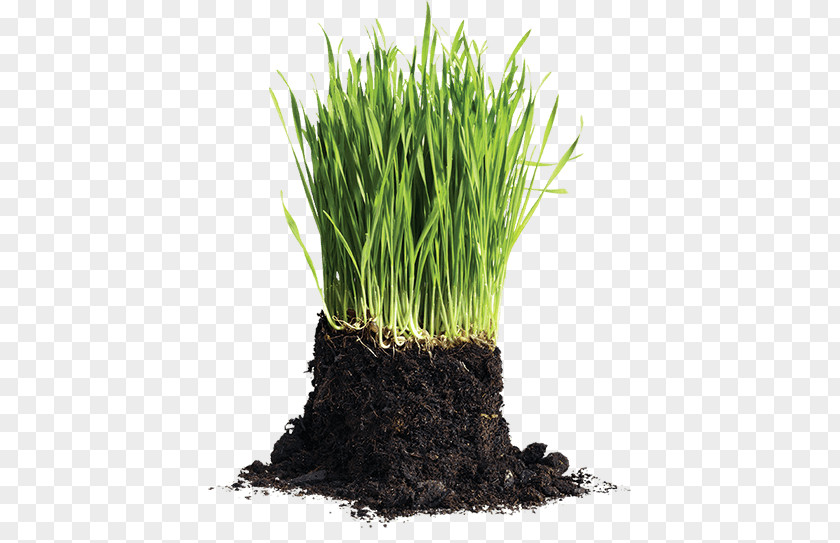 Soil Spread Victory Lawn Care Services Compost Yard Sod PNG