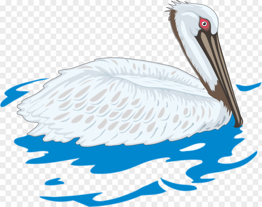 Vector Painted Swan Cygnini Bird Clip Art PNG
