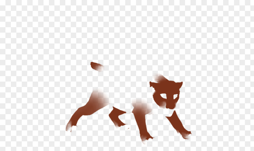 Cat Fox Dog Desktop Wallpaper Snout PNG