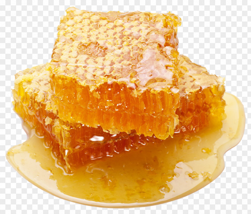 Honeycomb Honey Comb Bee Delicatessen PNG