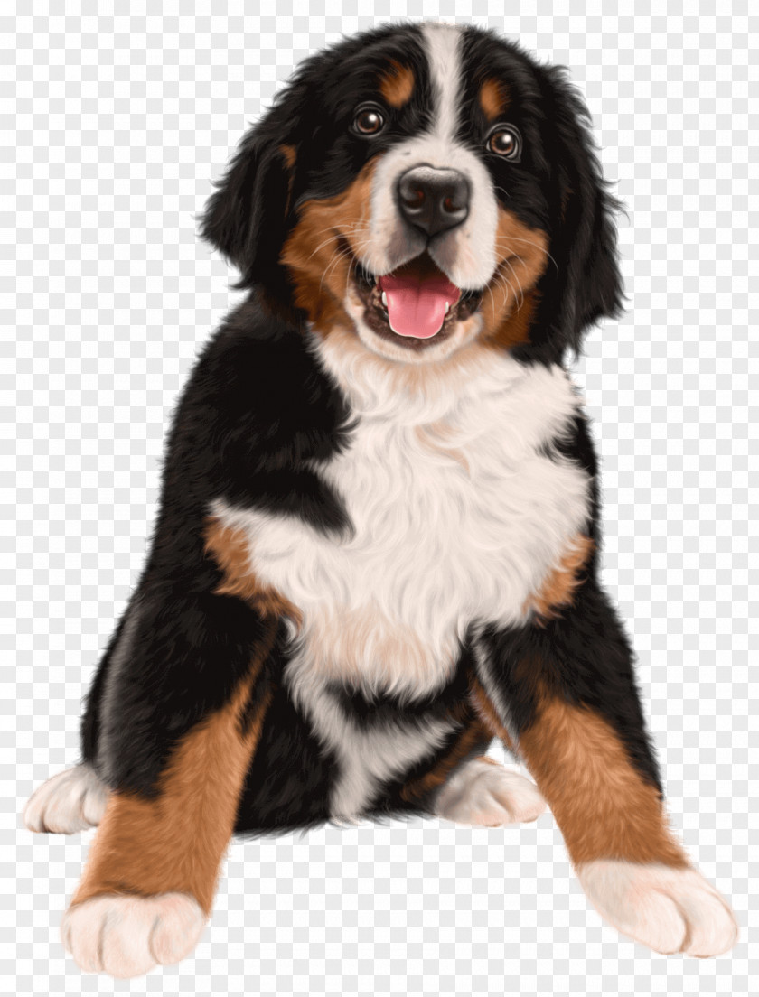 Puppy Bernese Mountain Dog German Shepherd Golden Retriever Rough Collie PNG