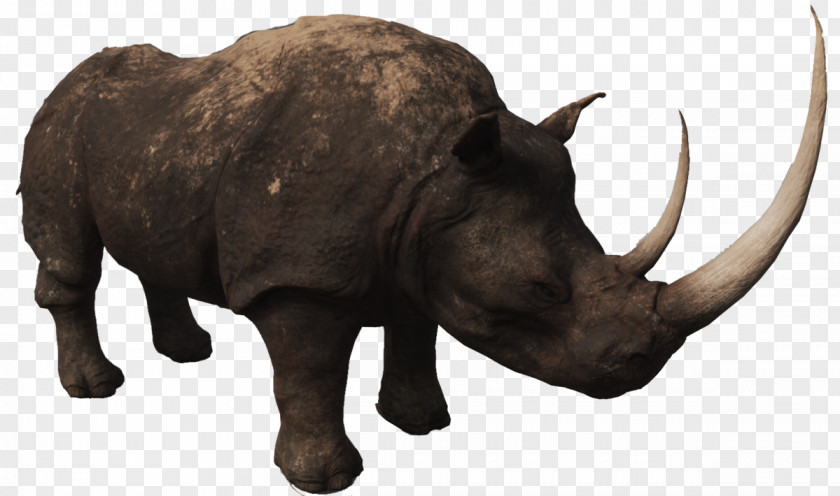 Rhino Conan Exiles Rhinoceros Horn Bison Animal PNG