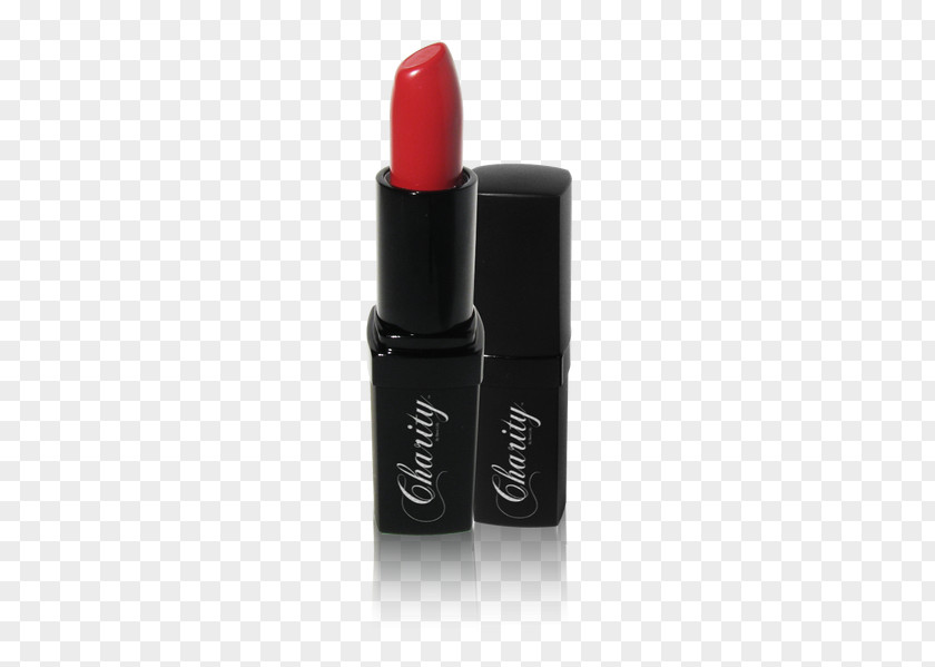 Beauty Skin Care Lipstick Eye Shadow Concealer Lip Liner Rouge PNG