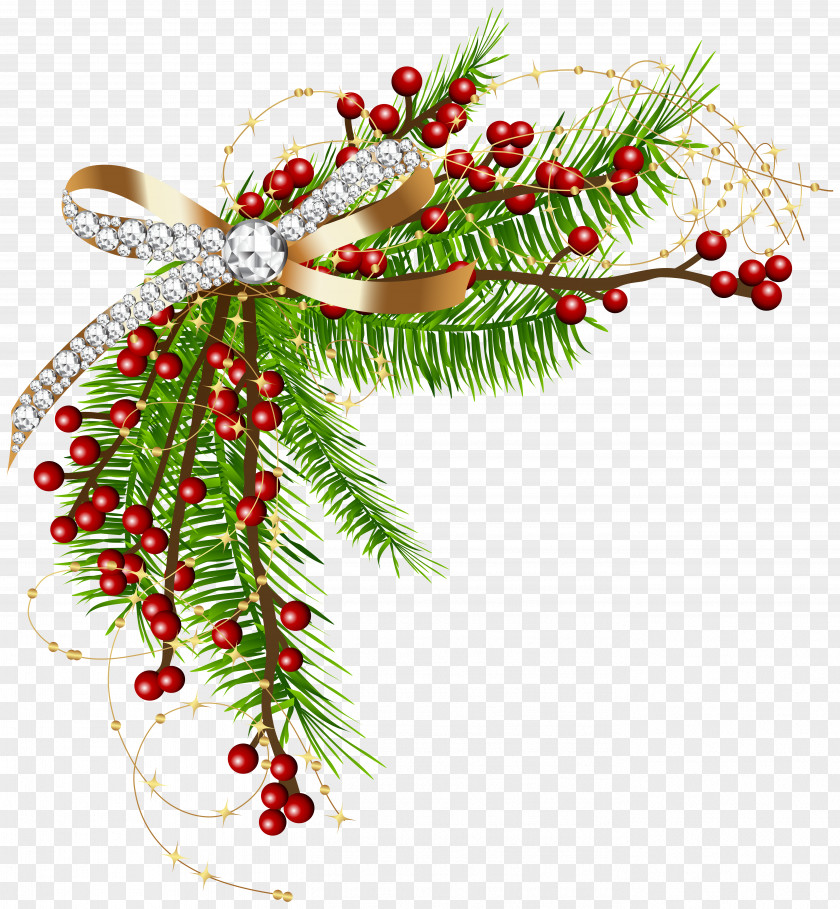 Christmas Pine Green Decor Clip Art Image Decoration Ornament PNG
