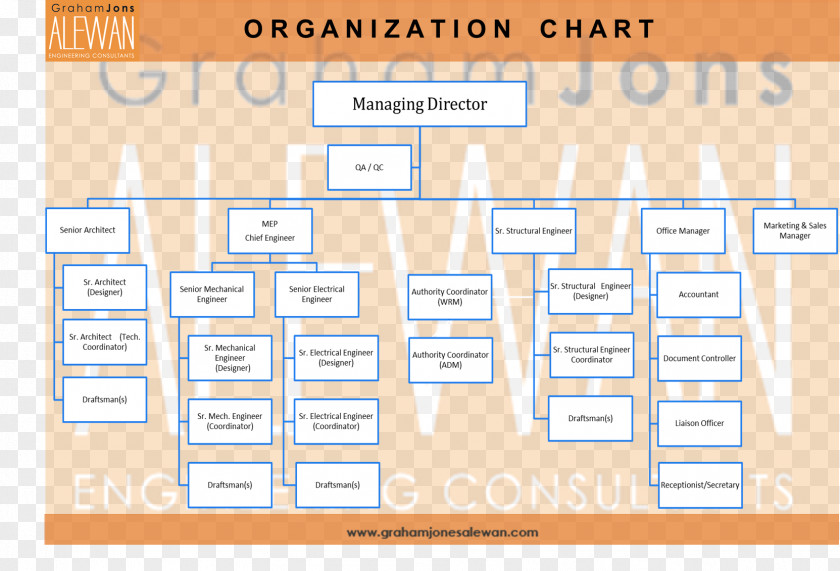 Costco Organizational Structure Chart Diagram Consultant Company PNG