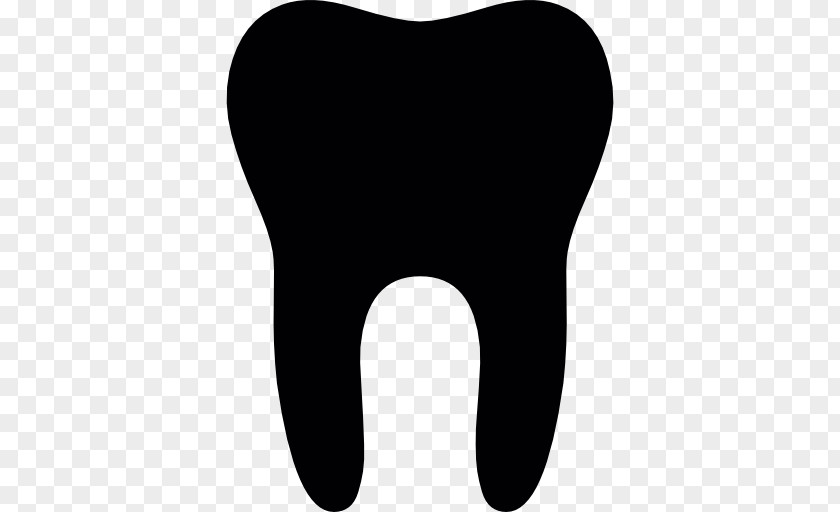 Dental Vector Human Tooth Dentistry PNG
