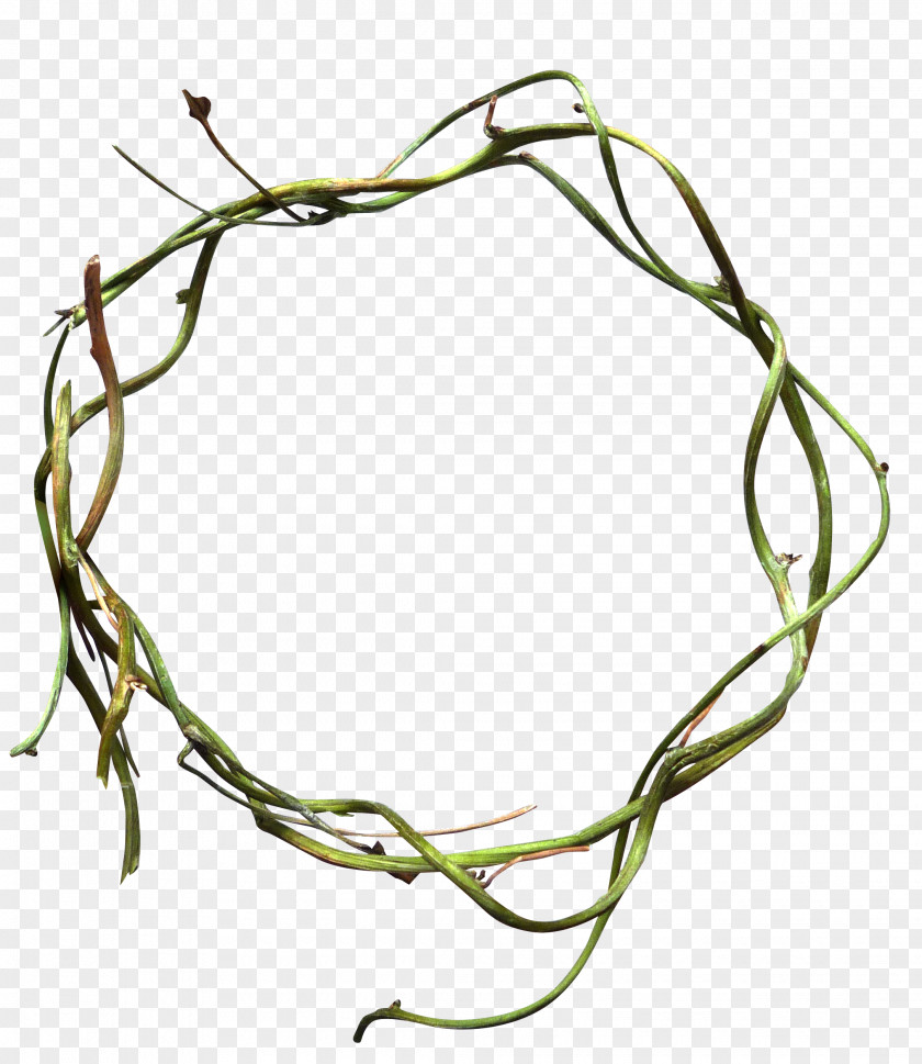 Green Shoots Ring Circle Vine PNG