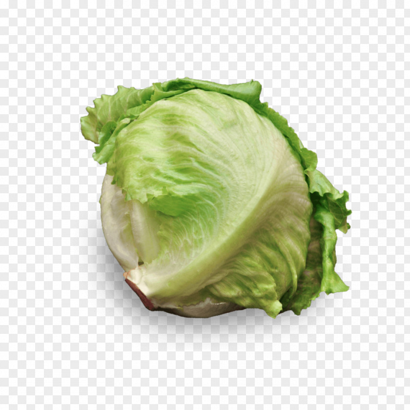 Salad Romaine Lettuce Iceberg Cruciferous Vegetables Recipe PNG