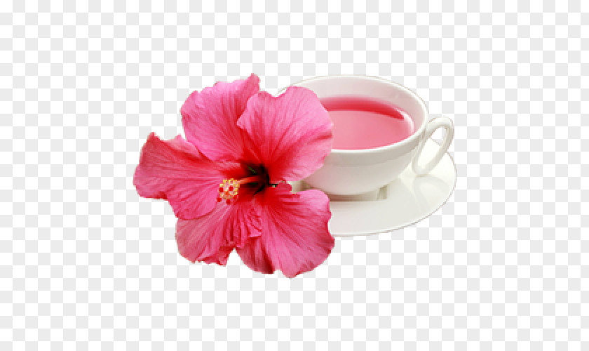 Hibiscus Magenta PNG