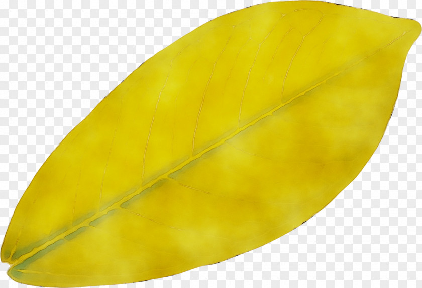 Leaf PNG