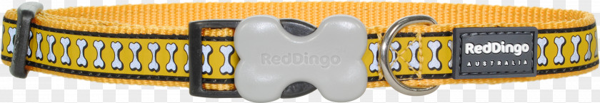 Red Collar Dog Dingo Yellow PNG