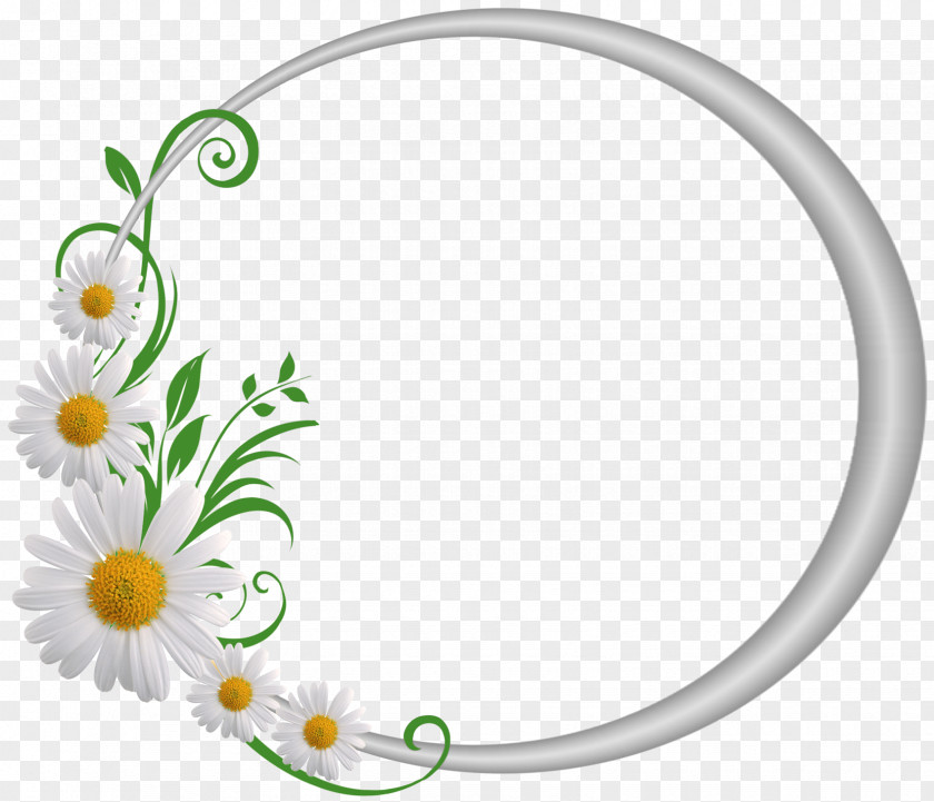 Circle Flower Bible Blessing Shabbat Biblical Sabbath Seventh-day Adventist Church PNG