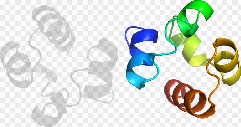 Design Clip Art Product Body Jewellery PNG