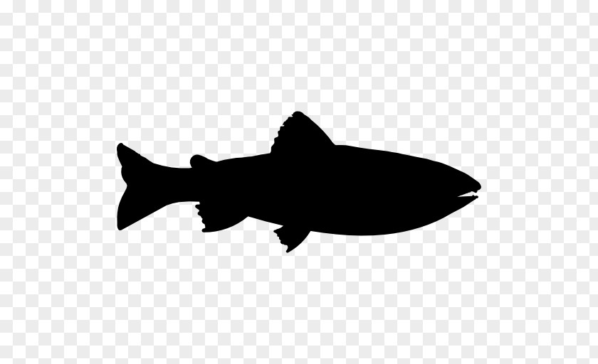 Fish Silhouette Drawing Trout PNG