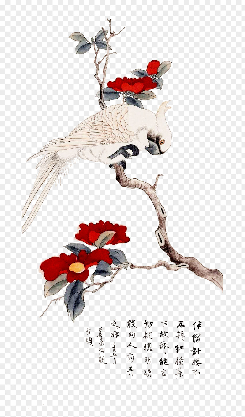 Lifelike Painted Bird Bird-and-flower Painting Chinese Painter Illustration PNG