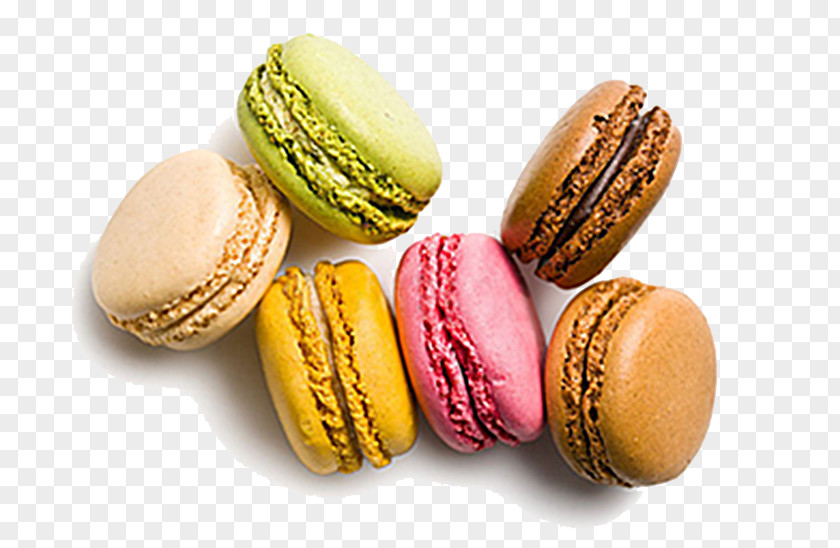 Macarons Macaroon Macaron Torte Pastry PNG